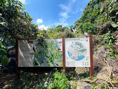 -阳台山森林公园
