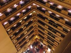 -上海南新雅大酒店