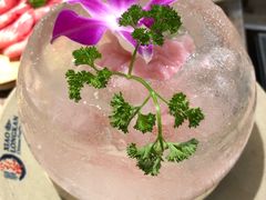-小龙坎老火锅