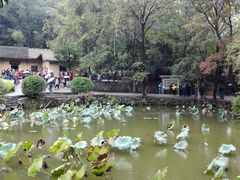 -毛泽东同志旧居