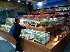 -龟与熊猫宠物公园(南坪店)