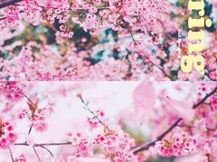 -静安雕塑公园