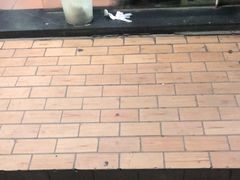 -朝阳路拉面店