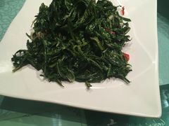 枸杞苗-老毛手抓·盐池滩羊非遗手抓(宁夏总店)