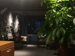-梵猫·新养生(湛江鼎盛店)