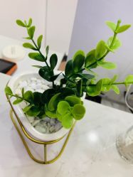 -尚·丹尼Hair