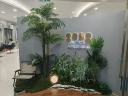 -八佰伴8008星级形象店
