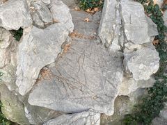 -静安公园(静安寺街道)