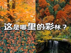 -龙苍沟森林公园