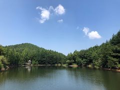 -四明山国家森林公园