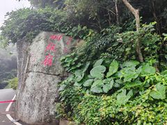 -海南铜鼓岭景区