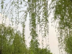 -东湖景区