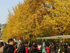 -辽宁大学(崇山校区)