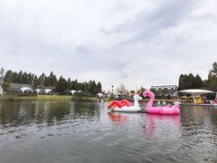 -太阳岛度假酒店