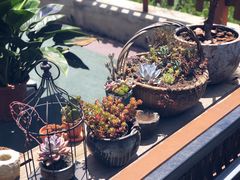 -北马山庄植趣咖啡