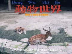-成都动物园