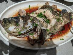 -大锅强·蒸海鲜青岛菜(吾悦广场店)