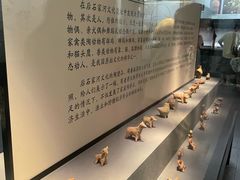 -荆州博物馆