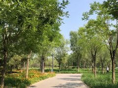 -东郊湿地公园