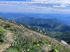 -白草畔自然风景区
