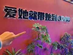 -0048鲜活香辣虾·火锅(铜陵路店)