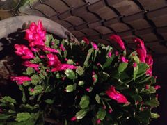 iphone_upload_pic-花迹(富春江东街店)
