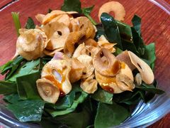 -樱の花亭日本料理店