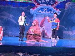 -大连圣亚海洋世界