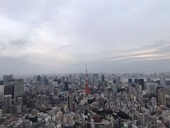 -六本木新城展望台(东京城市景观)