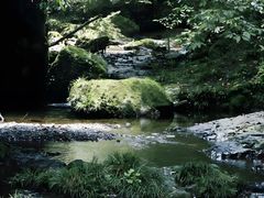 -龙苍沟森林公园