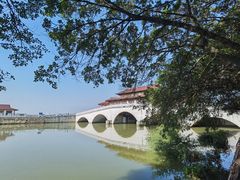 -大湾区中央湿地公园