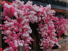 -三月居酒屋(青年大街店)