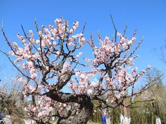 -苏州河梦清园环保主题公园