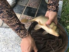 -酷鱼垂钓CLUB(朝阳区博大路店 )