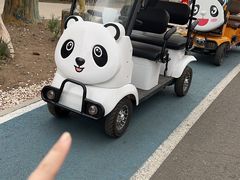 -大青山野生动物园