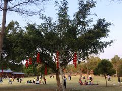 -聚龙山公园