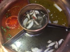 -老诚一锅羊蝎子(黄寺大街店)