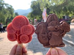 -香山公园