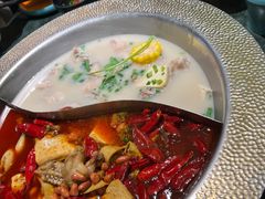 -麻田会 ·鲜活现烹·牛蛙火锅(珠江新城维家思广场店)