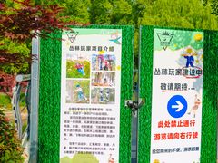 -九科绿洲