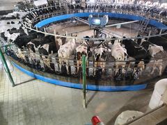 -君乐宝优致牧场
