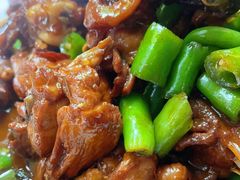 -老家黄墩小错鸡·活海鲜