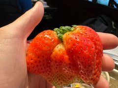 -海汕记·潮汕鲜牛肉火锅·自助