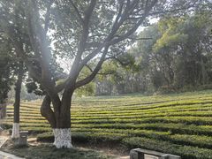 -敬亭山风景名胜区