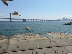 -星海广场