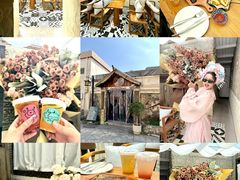 -三亚西岛海洋文化旅游区