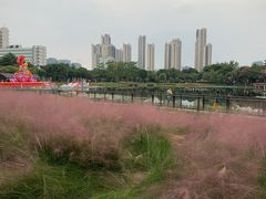 -映月湖公园