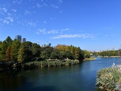 -尚贤河湿地