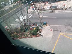 -凤凰湘语·湘粤鲜融(浦东旗舰店)