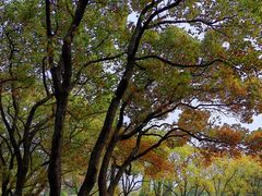 -西郊宾馆·1921餐厅